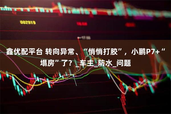 鑫优配平台 转向异常、“悄悄打胶”，小鹏P7+“塌房”了？_车主_防水_问题