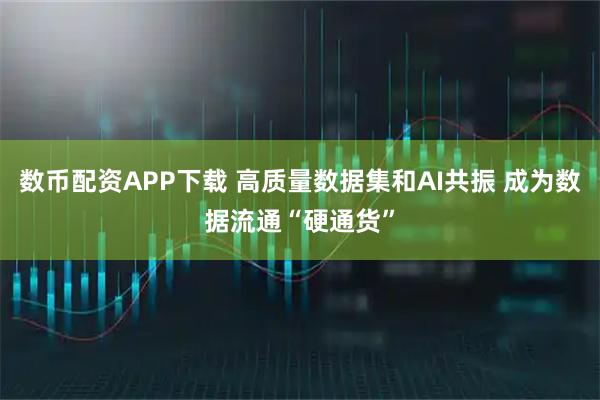 数币配资APP下载 高质量数据集和AI共振 成为数据流通“硬通货”